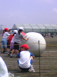 運動会