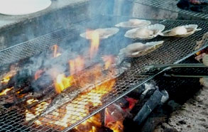 BBQ