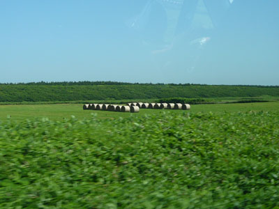ks