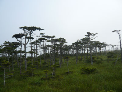 道東旅行