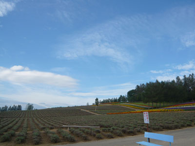 hurano