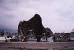 samanigyokou.jpg (28249 バイト)
