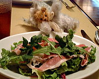 ���n���T���_