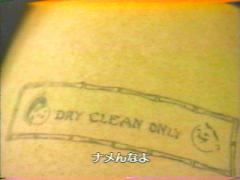 "DRY CLEAN ONLY"̃CY~