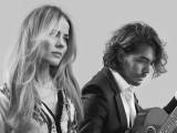 The Common Linnets