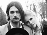 The Common Linnets