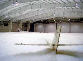 hanger.jpg (7577)