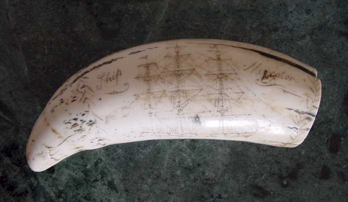 scrimshaw.jpg (25551)