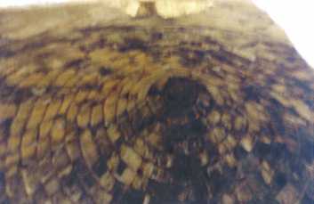 Treasury of Atreus-Dome.jpg (9212 ???)