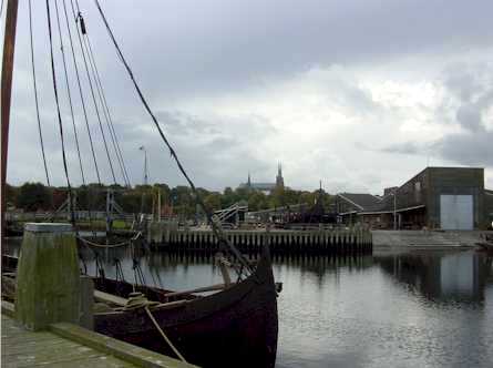viking.jpg (15499)