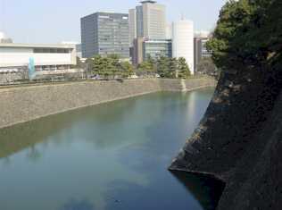 hirakawa.jpg (7532)