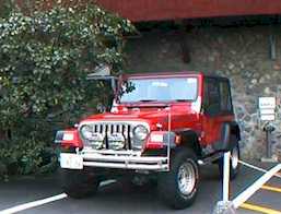 wrangler.jpg (10176)