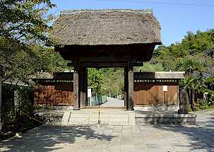 gate.jpg (16388 oCg)