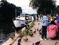 Boat Tour