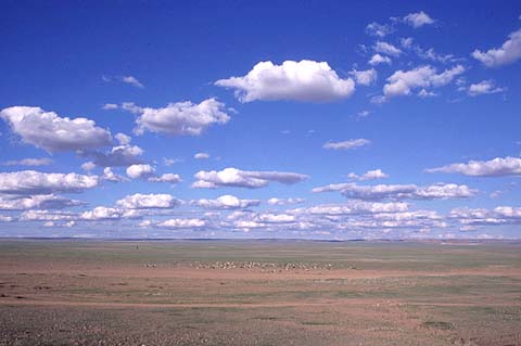 Great View of Gobi