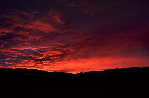 Red, Red Sunset