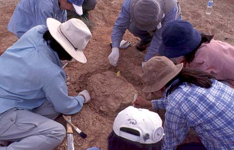 Excavate Together, 1998Aug
