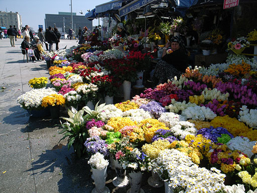 Flower Shop in Istanbul