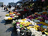 Flower Shop in Istanbul