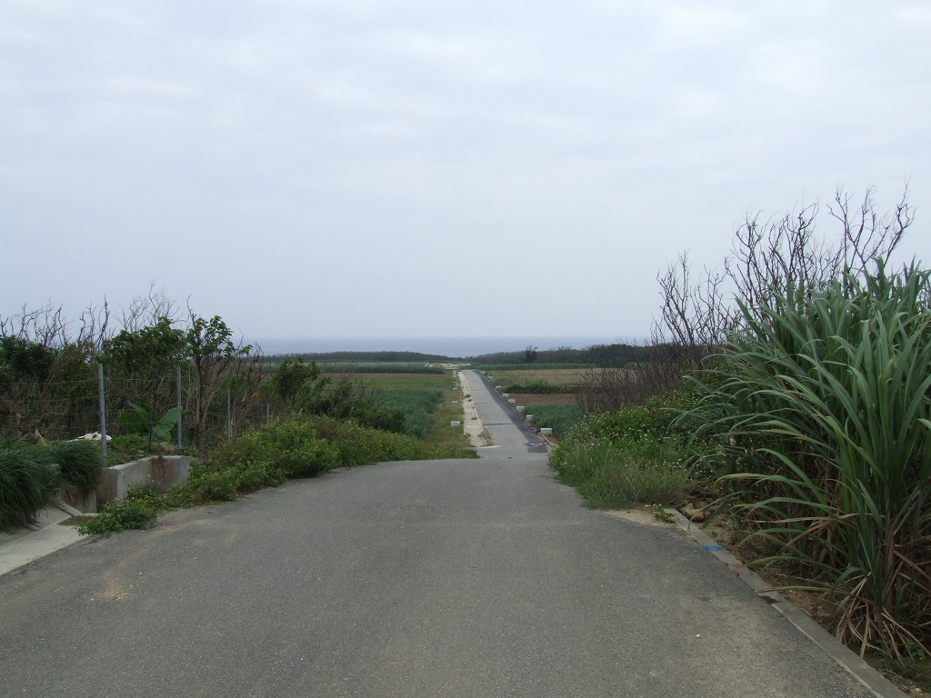 美波さら の掲示板投稿写真＆画像