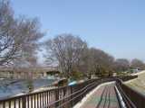 中の島公園02