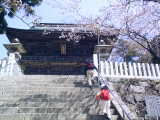 筑波山神社2