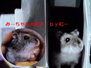 ܂h݁[h
