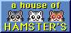 a house of HAMSTERS