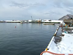 �L�Y����݋��`