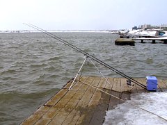 �Ύ��͌����n�D��