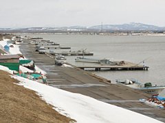 �Ύ��͌����n�D��