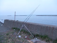 �ɒB�s�����C��