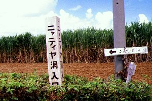 �摜�w�j���e�B����(1)�x