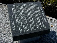 �k�����C�̎�|