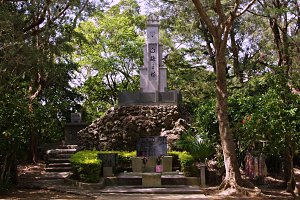 ���~�V�� �S�i