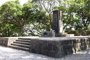 �R�`�̓� �S�i