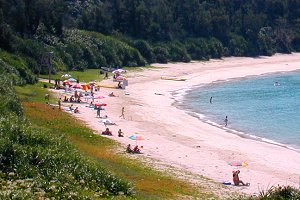 画像『阿波連ビーチ』