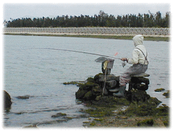 �摜 = �암�L���鑺�ł̒ނ�l