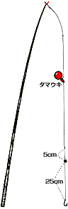 d|}