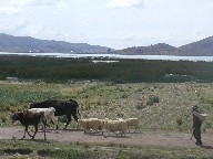 eBeBJJΔȁ@Lago Titikaka