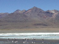 O[iExf Laguna Colorada