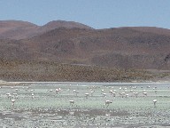 O[iExf Laguna Colorada