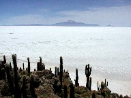 CXEfEyXJ Isla del Pesca