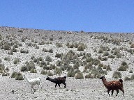 Ej Uyuni