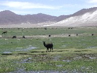 Ej Uyuni