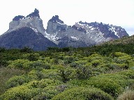 NGmX@Cuernos del Paine