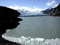 OCX́@Glaciar Grey