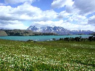 xf΁@Laguna Verde
