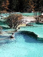 r@Striving-for-Beauty Pond