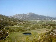 v`F Ploce